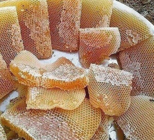 عکس عسل طبیعی با موم