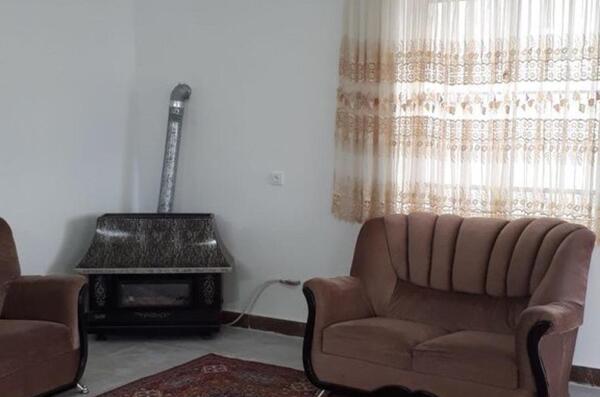 عکس گل پامچال جنگلی