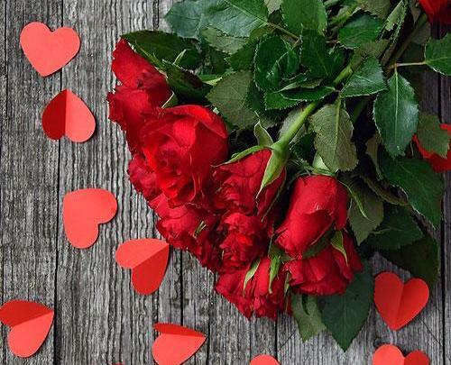 عکس گل رز قرمز عاشقانه برای پروفایل