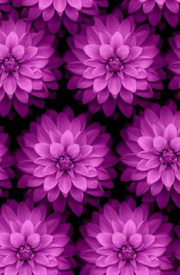 عکس گل برای تصویر زمینه پسرانه