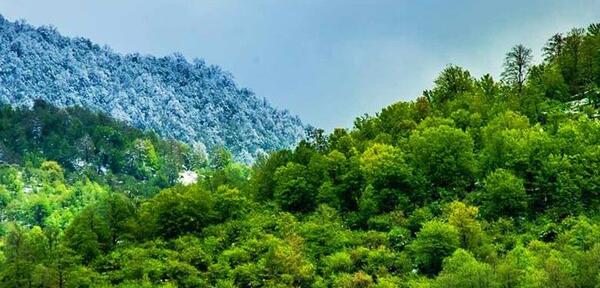 عکس طبیعت شمال عاشقانه