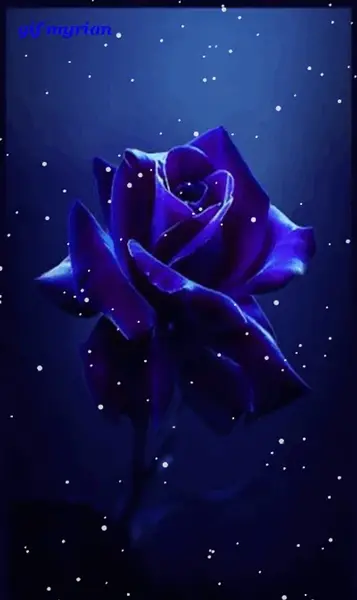 عکس گل تصویر زمینه متحرک