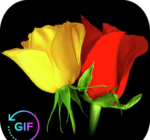 عکس گل تصویر زمینه متحرک