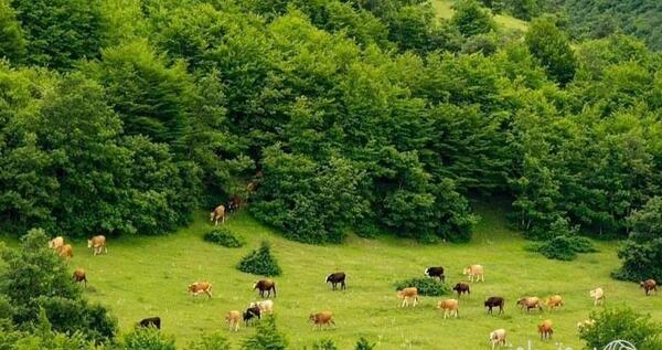عکس طبیعت تبریز ساده