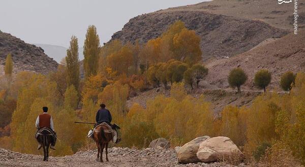 عکس طبیعت تبریز ساده