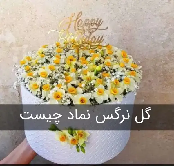 عکس از گل نرگس برای پروفایل