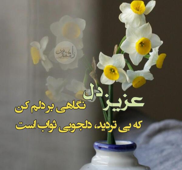 عکس از گل نرگس برای پروفایل