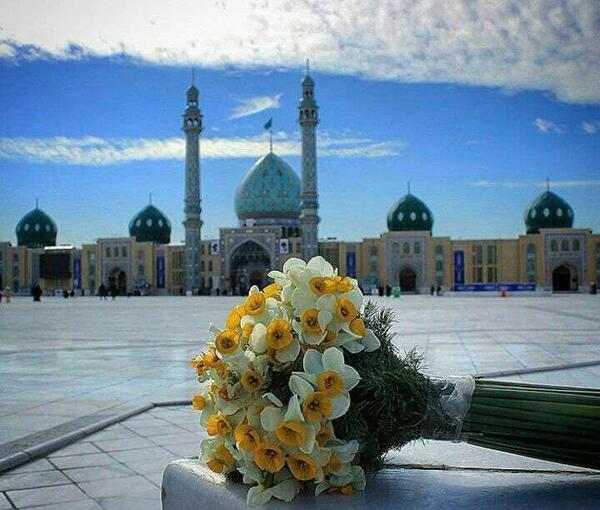 عکس از گل نرگس برای پروفایل