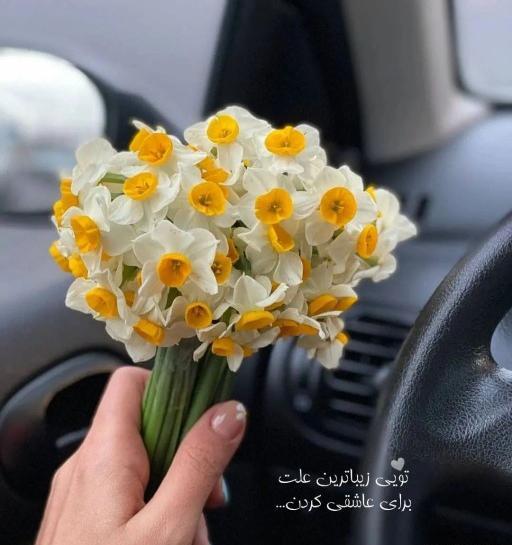 عکس پروفایل گل نرگس در دست دختر