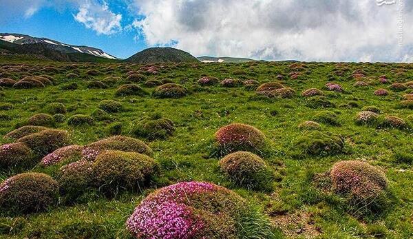 عکس های طبیعت قره داغ