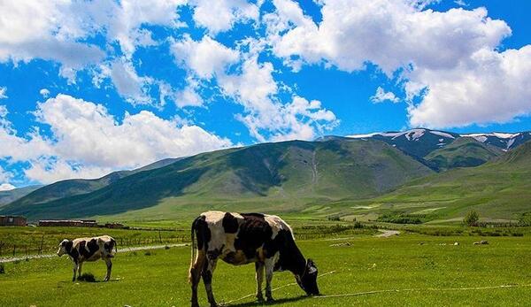 عکس های طبیعت قره داغ