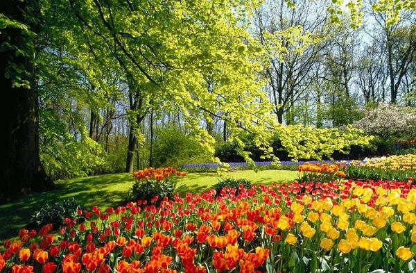 عکس هایی از طبیعت دانلود
