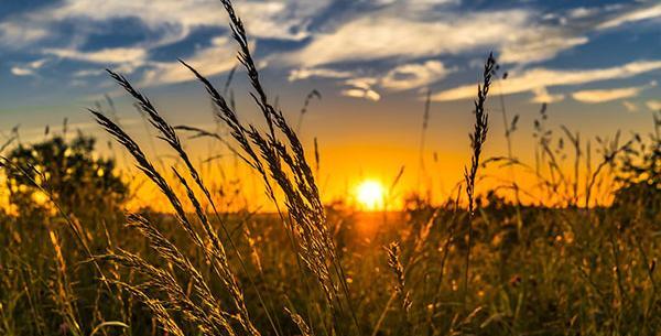 عکس با طبیعت غروب