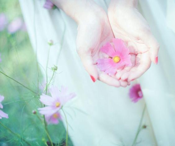 عکس گل در دست پروفایل