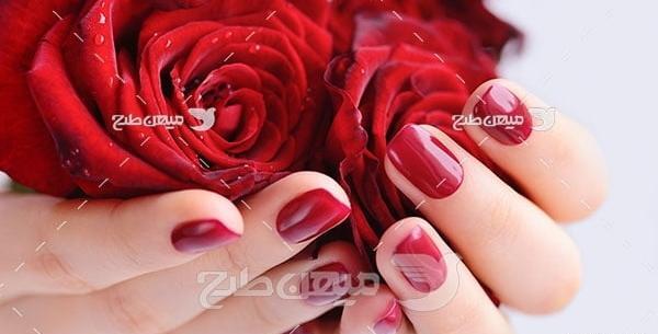 عکس گل در دست پروفایل