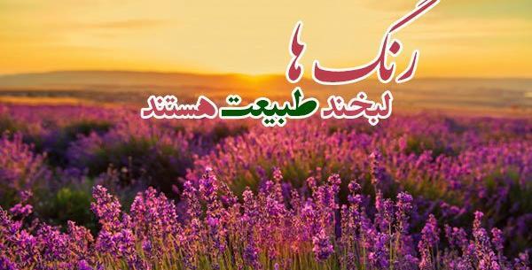 توصیف یک عکس از طبیعت