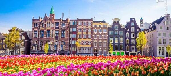 عکس جدید طبیعت بهار