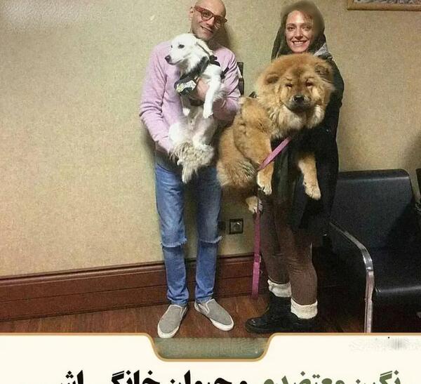 عکس حیوانات اصیل ایرانی