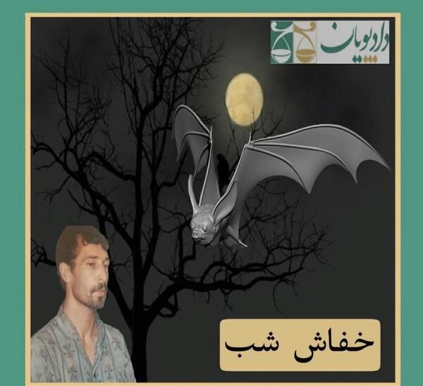 عکس خفاش شب ایران