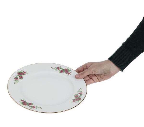 عکس چینی گل سرخ