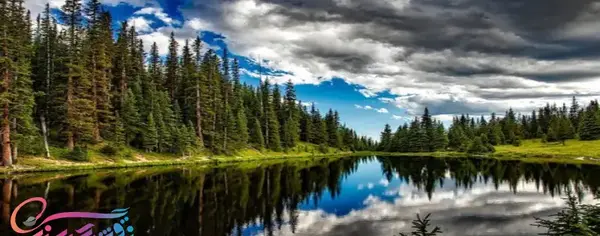 عکس منظره طبیعت و حیوانات