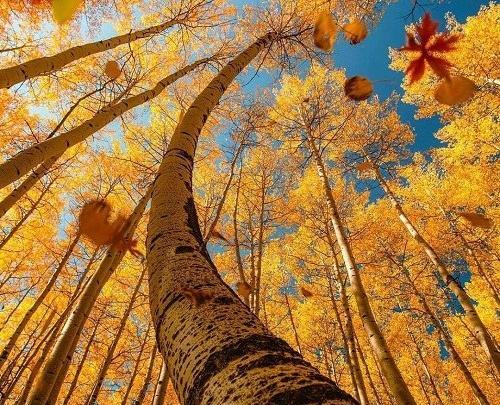 عکس های بسیار زیبای طبیعت