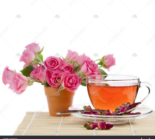 عکس چای گل رز