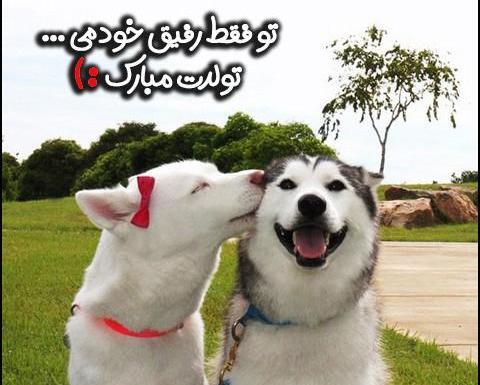 عکس تولدت مبارک رفیق قشنگم