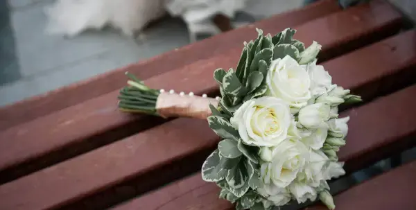 عکس گل عروس طبیعی