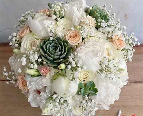 عکس گل عروس طبیعی