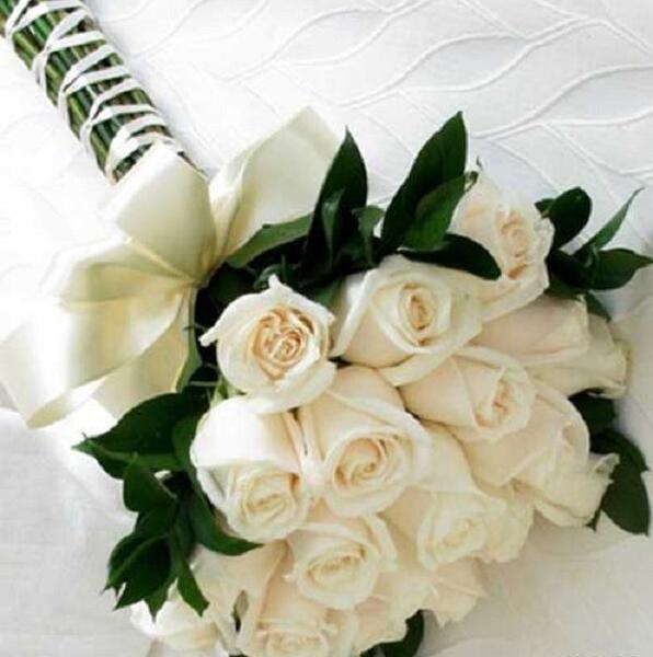 عکس گل عروس طبیعی