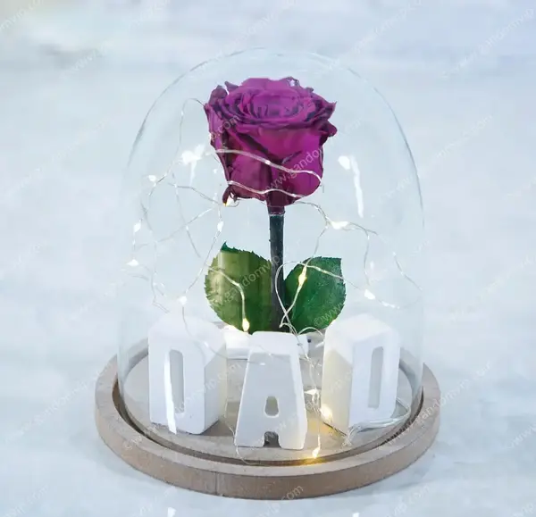 عکس گل برای تولد پدر