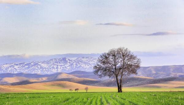 عکس طبیعت و کوه