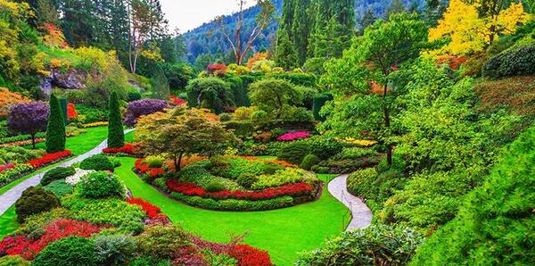 عکس طبیعت ونکوور