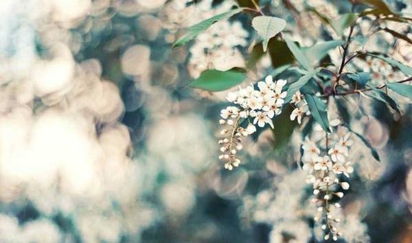 عکس طبیعت آرامش