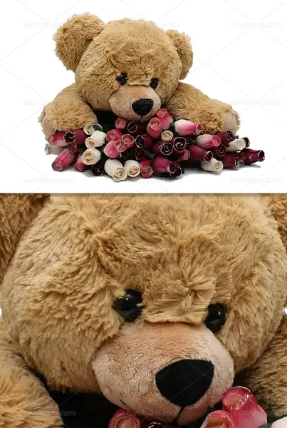 عکس گل عروسکی