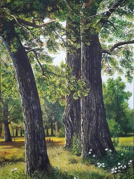 عکس از طبیعت برای طراحی