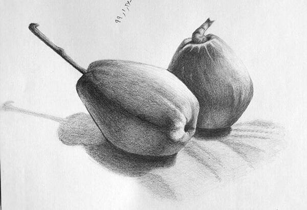 عکس از طبیعت برای طراحی