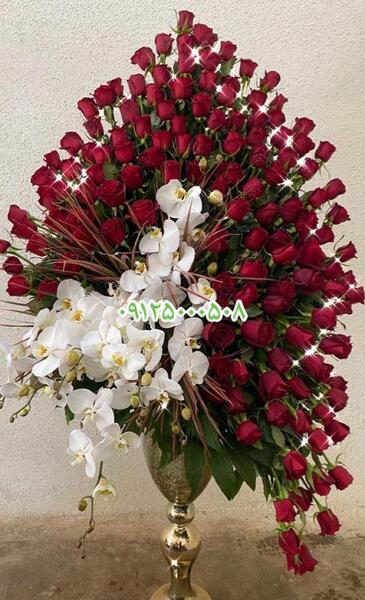 عکس گل خواستگاری بزرگ