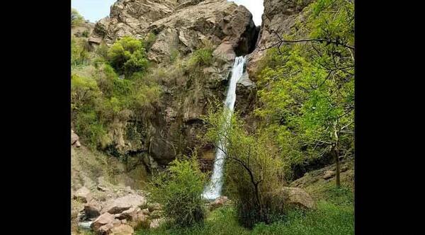 عکس طبیعت رابر