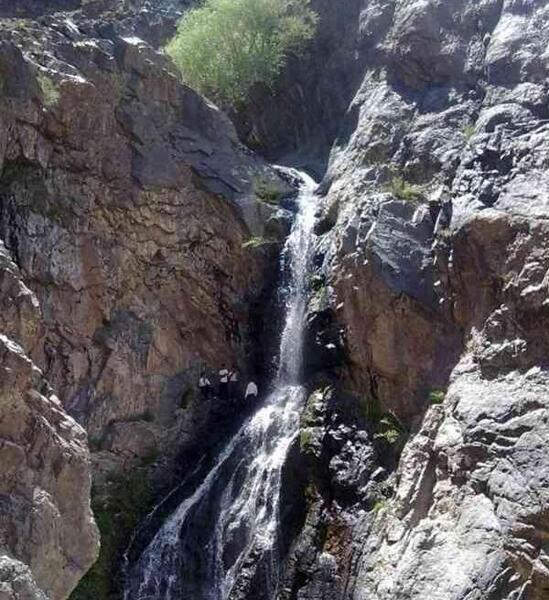 عکس طبیعت رابر