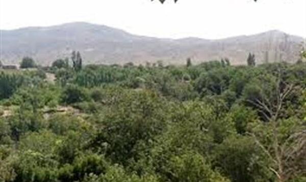 عکس طبیعت رابر