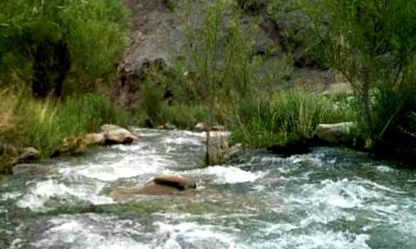 عکس طبیعت رابر