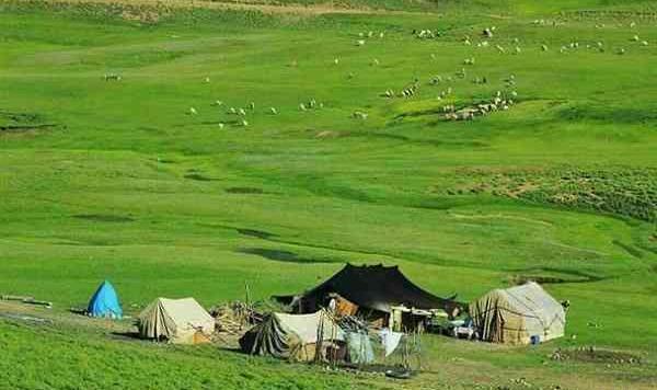 عکس طبیعت رابر