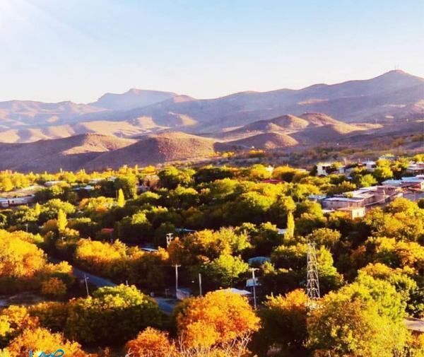 عکس طبیعت رابر