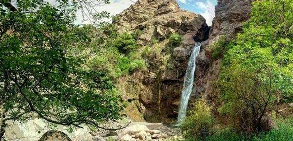عکس طبیعت رابر