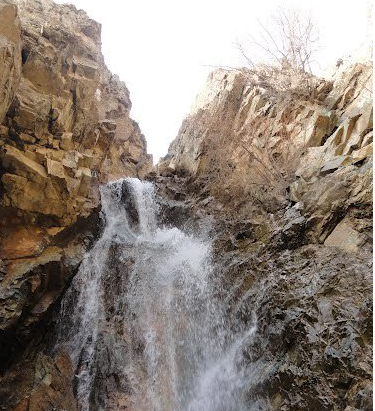 عکس طبیعت رابر