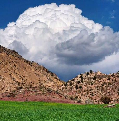 عکس طبیعت رابر