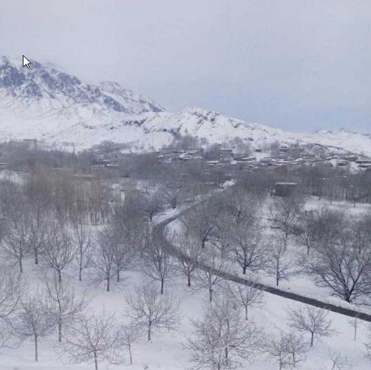 عکس طبیعت رابر