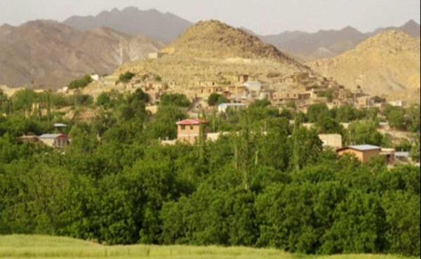 عکس طبیعت رابر